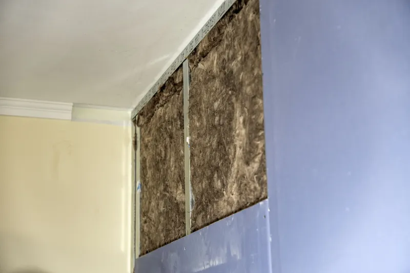 Jak vylepšit akustiku příčky?  | bignews.cz