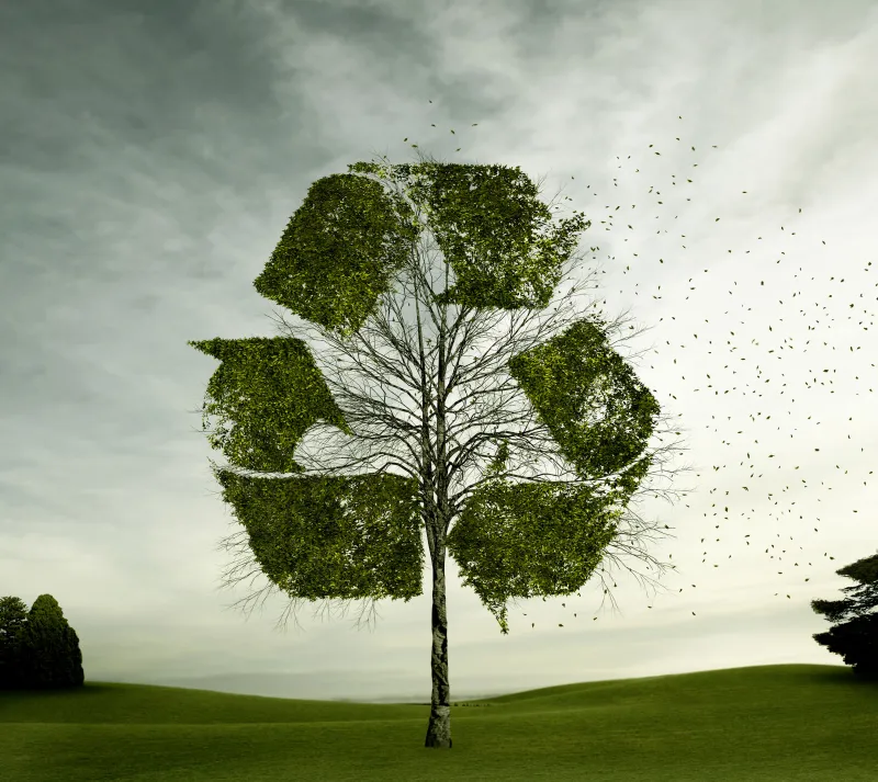 Kvalita plastových oken: mýty a skutečnost | bignews.cz