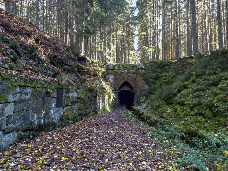 Soumarské rašeliniště se opět otevřelo - Na kolech kolem Stožce | bignews.cz