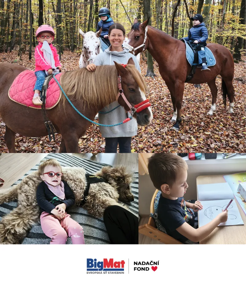 Nadační sbírka: Tři srdíčka, jedna cesta | bignews.cz