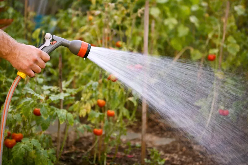 De&scaron;ťov&aacute; voda nen&iacute; odpad, ale cenn&yacute; zdroj | bignews.cz