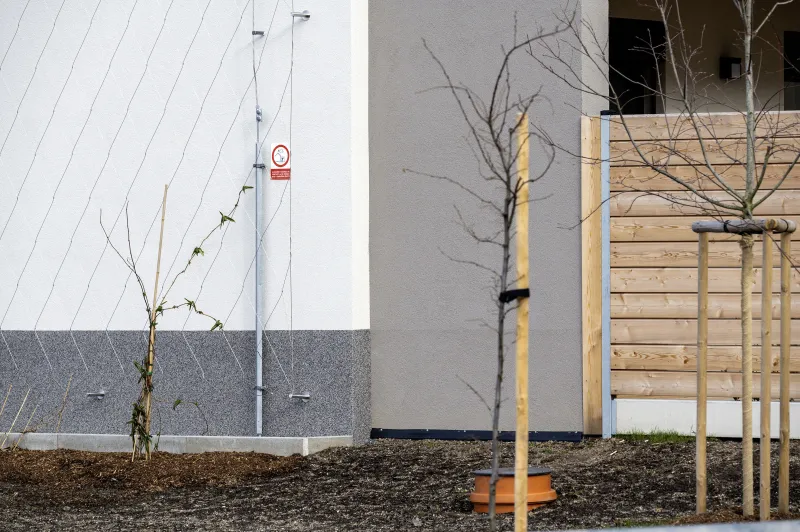 Sokl domu m&aacute; vliv na životnost fas&aacute;dy | bignews.cz