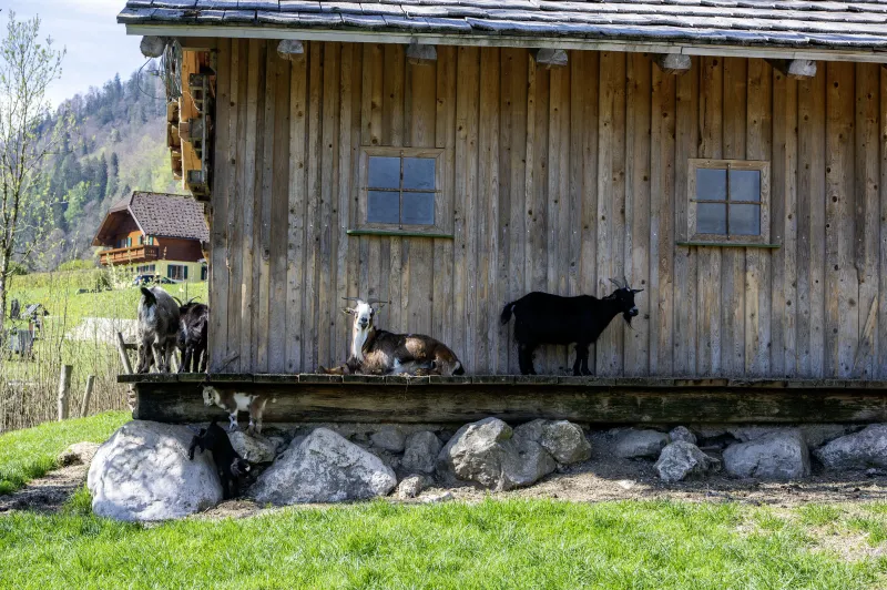 Na v&iacute;kend do St. Gilgenu | bignews.cz