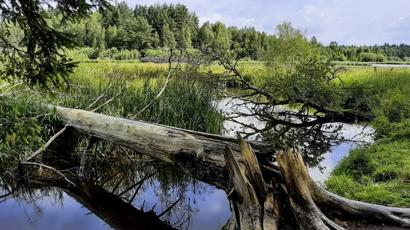Stezka plná přírodních zajímavostí | bignews.cz