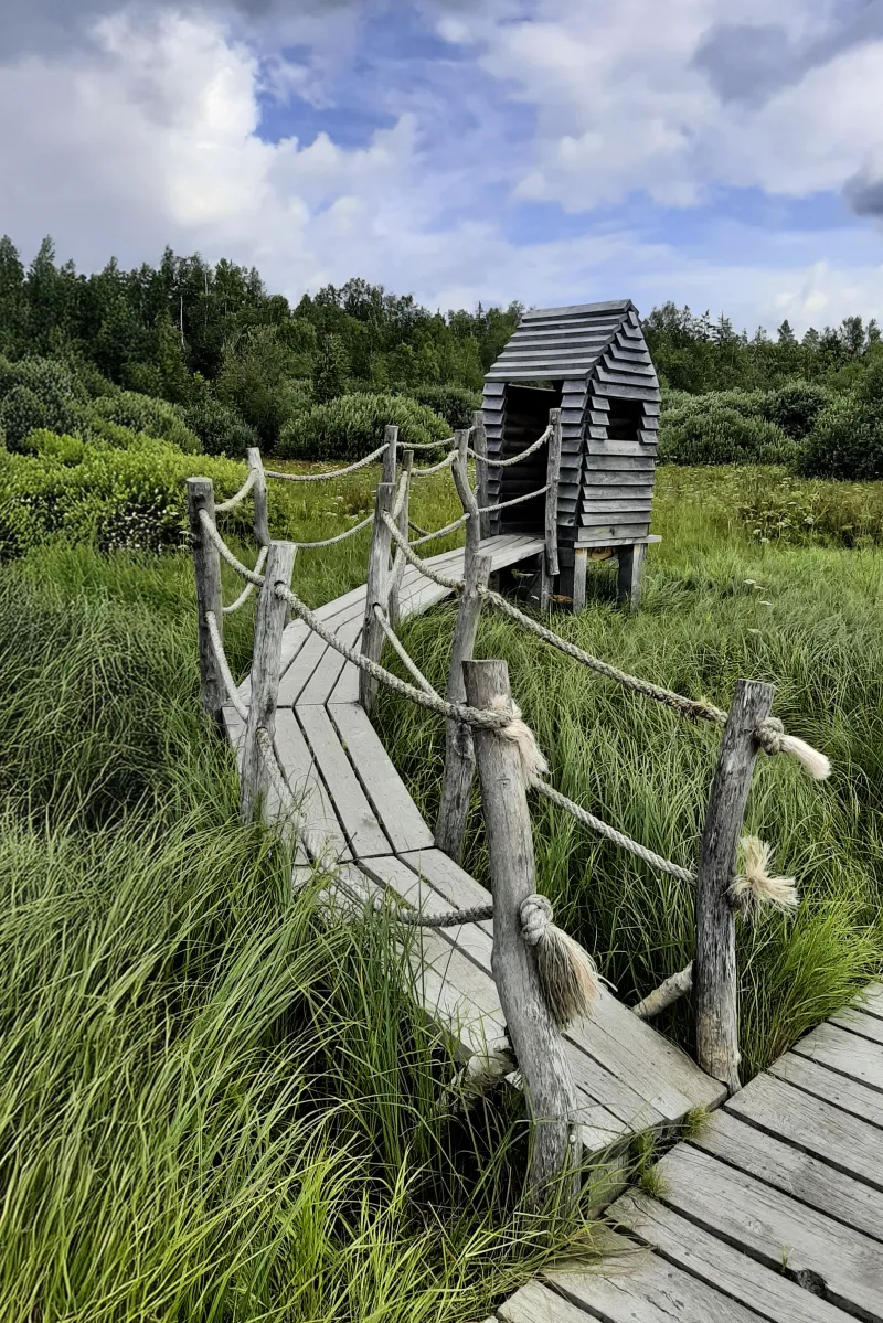 Stezka plná přírodních zajímavostí | bignews.cz