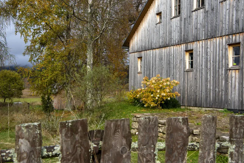 Jak se starat o dřevo VENKU | bignews.cz
