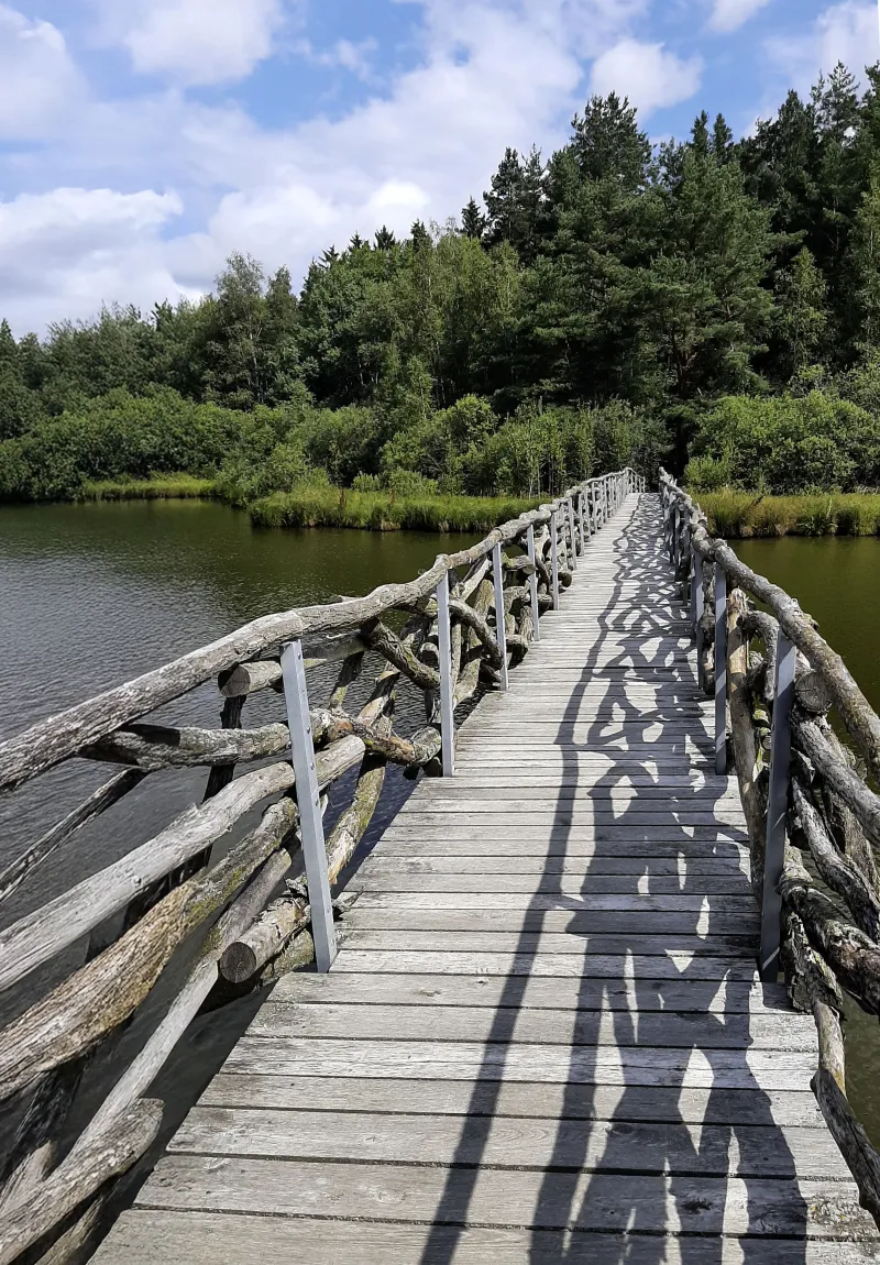 Stezka plná přírodních zajímavostí | bignews.cz