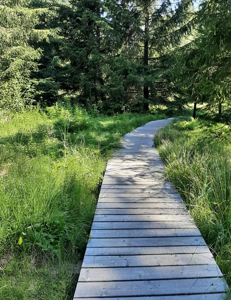 Stezka plná přírodních zajímavostí | bignews.cz