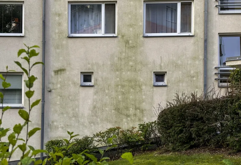 Co možná nevíte o fasádních barvách – 2 | bignews.cz